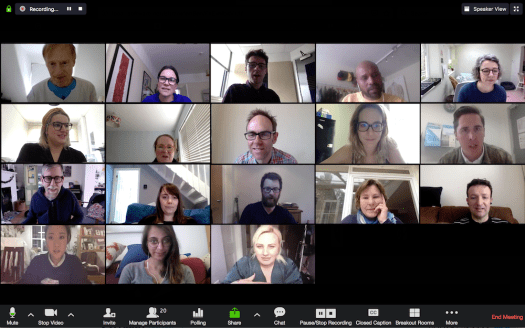 fig i - View of Zoom video conferencing service in Gallery View v2